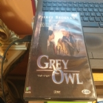 grey owl